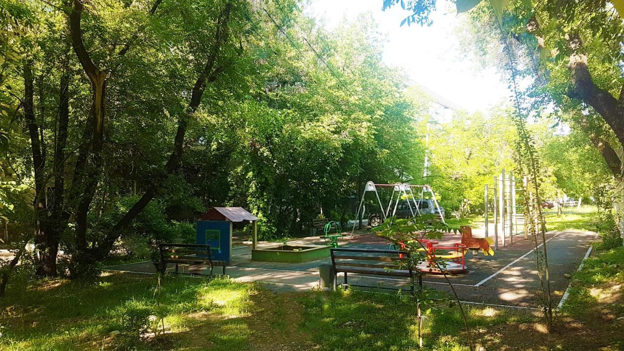 комфортная двухкомнатная в центре ,с видом на горы Almaty